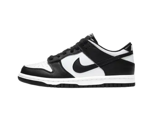Dunk SB SHOES