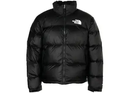North Face 1996 Nupste Puffer Jacket [WWTOP Batch]