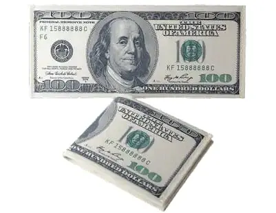 Dollar Bill Wallet