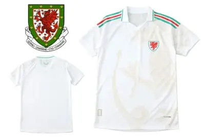 Wales Football Jersey