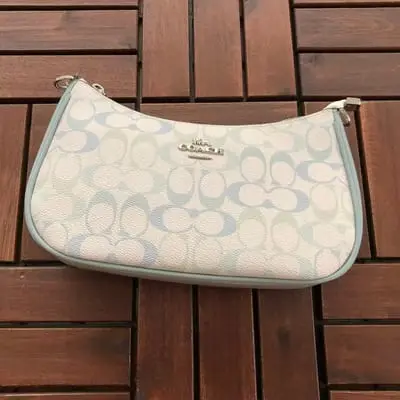 ￥~179 C🔥A🔥H BAG 66060705 （长24CM*宽13CM*高7CM）