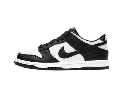 Dunk SB SHOES