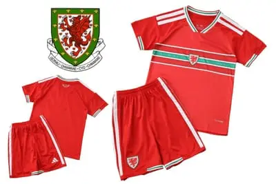 Wales Children's Football Jersey