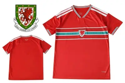 Wales Football Jersey