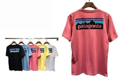 Patagonia Tee