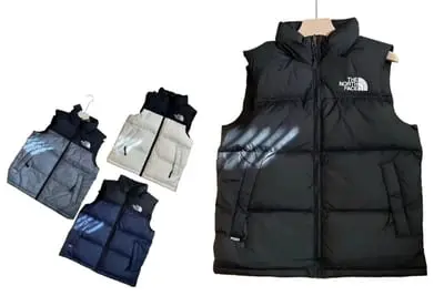 The North Face Vest