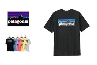 Patagonia T-shirt Tee