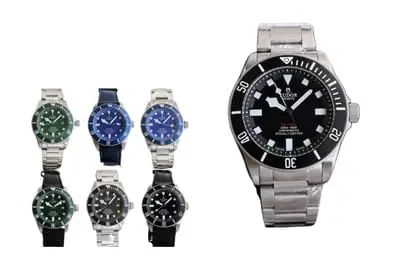 Tudor Watch
