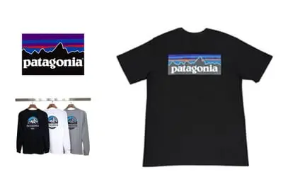 Patagonia T-shirt Tee