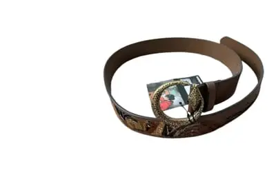 Derschutze Belt