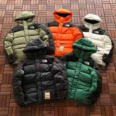 ￥~439 T🔥🔥 N🔥🔥F🔥🔥 DOWN JACKET 66071534 (im 180CM 68KG iwear size S in the photo)