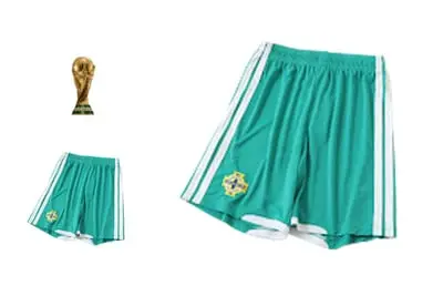 2026 NORTHERN IRELAND PLAYER VERSION SHORTS