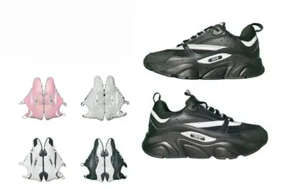 Dior B22