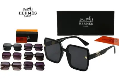 Hermes SunGlasses
