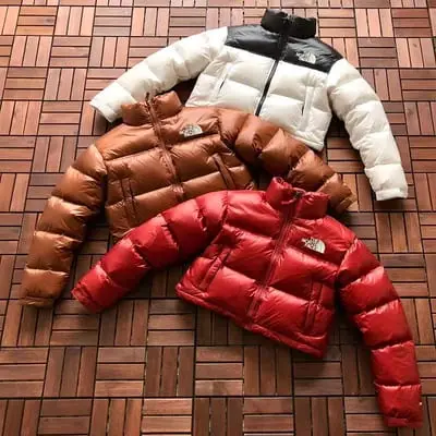 🔥SALE 🔥￥299⬅️￥399 🔥 Women’s Nuptse Short Jacket