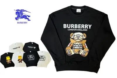 Burberry Sweater